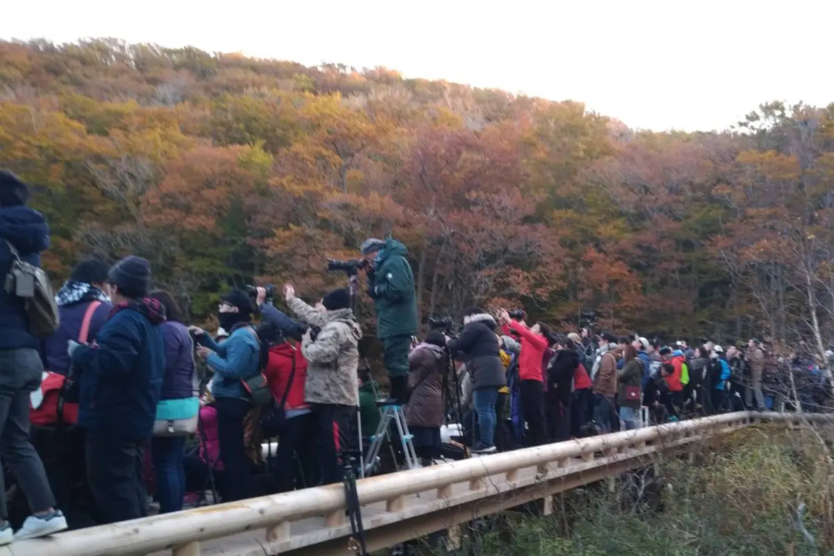 전망 덱의  혼잡・트러블등 발생