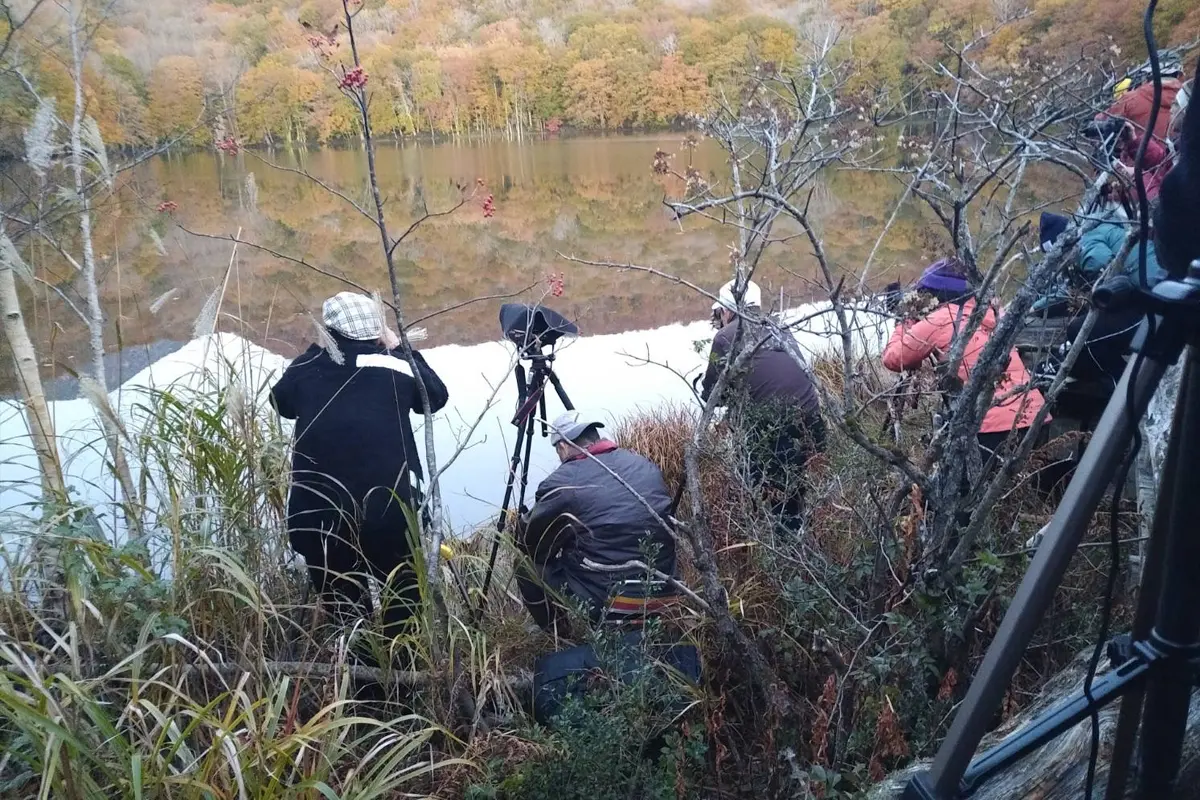 Damage for the Wetland Ecosystem